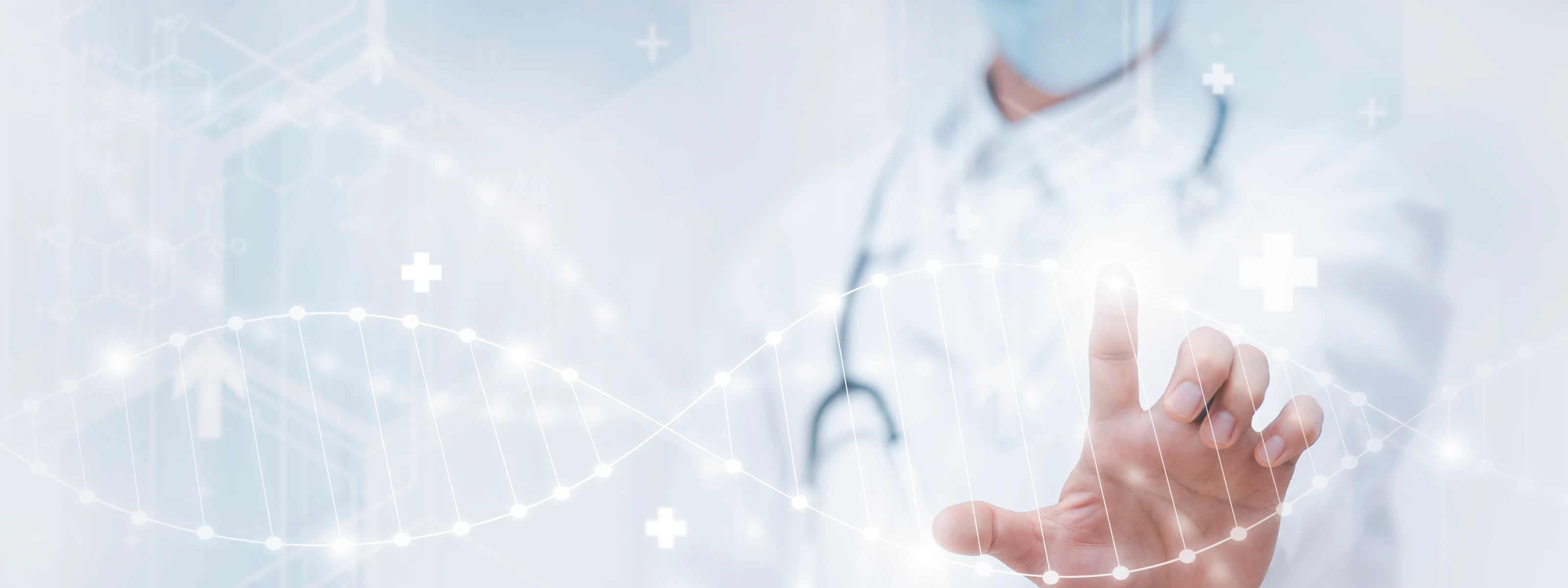 セルナ幹細胞培養上清液